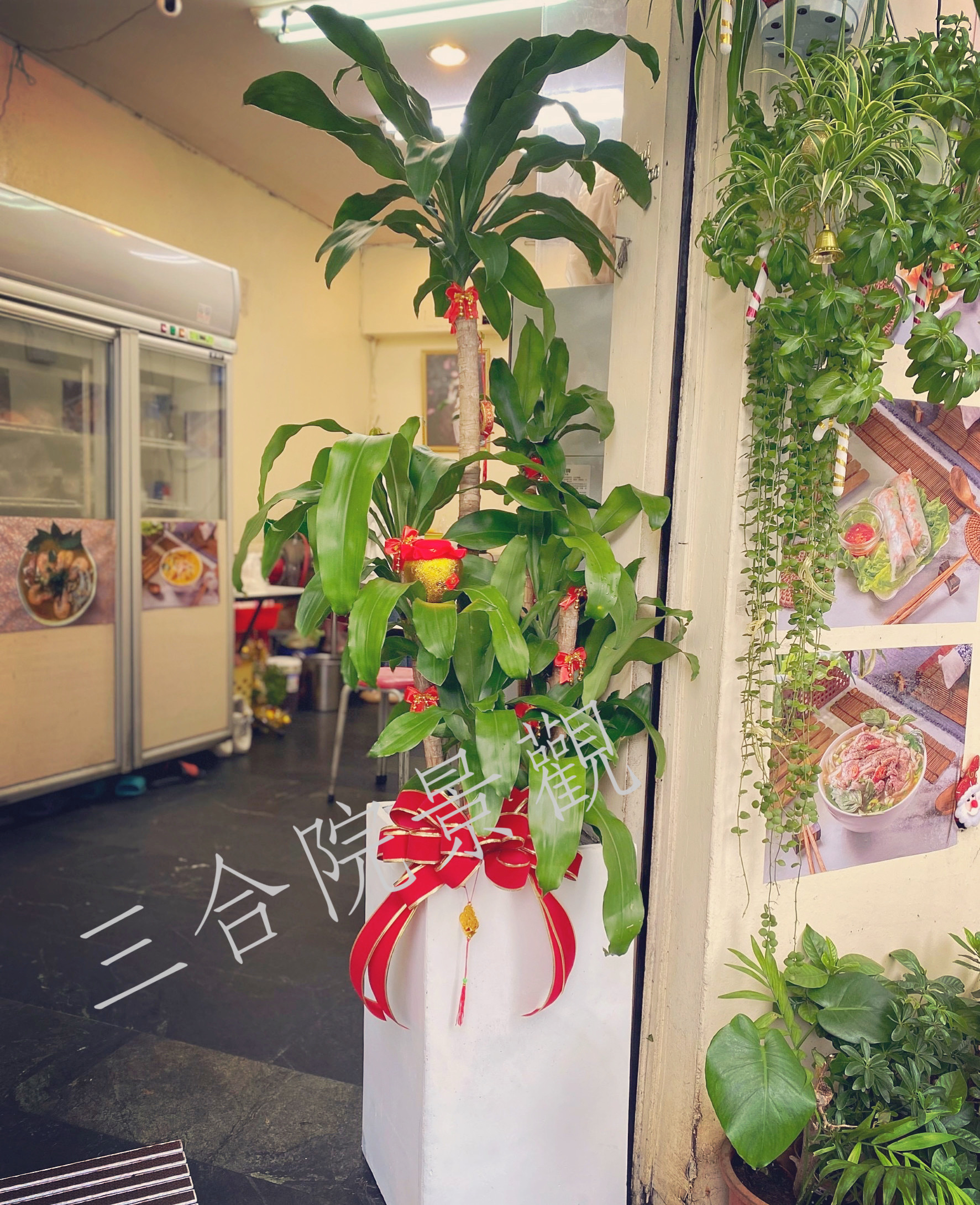2023年10月 透過植栽配置 讓空間更具親和與停留感