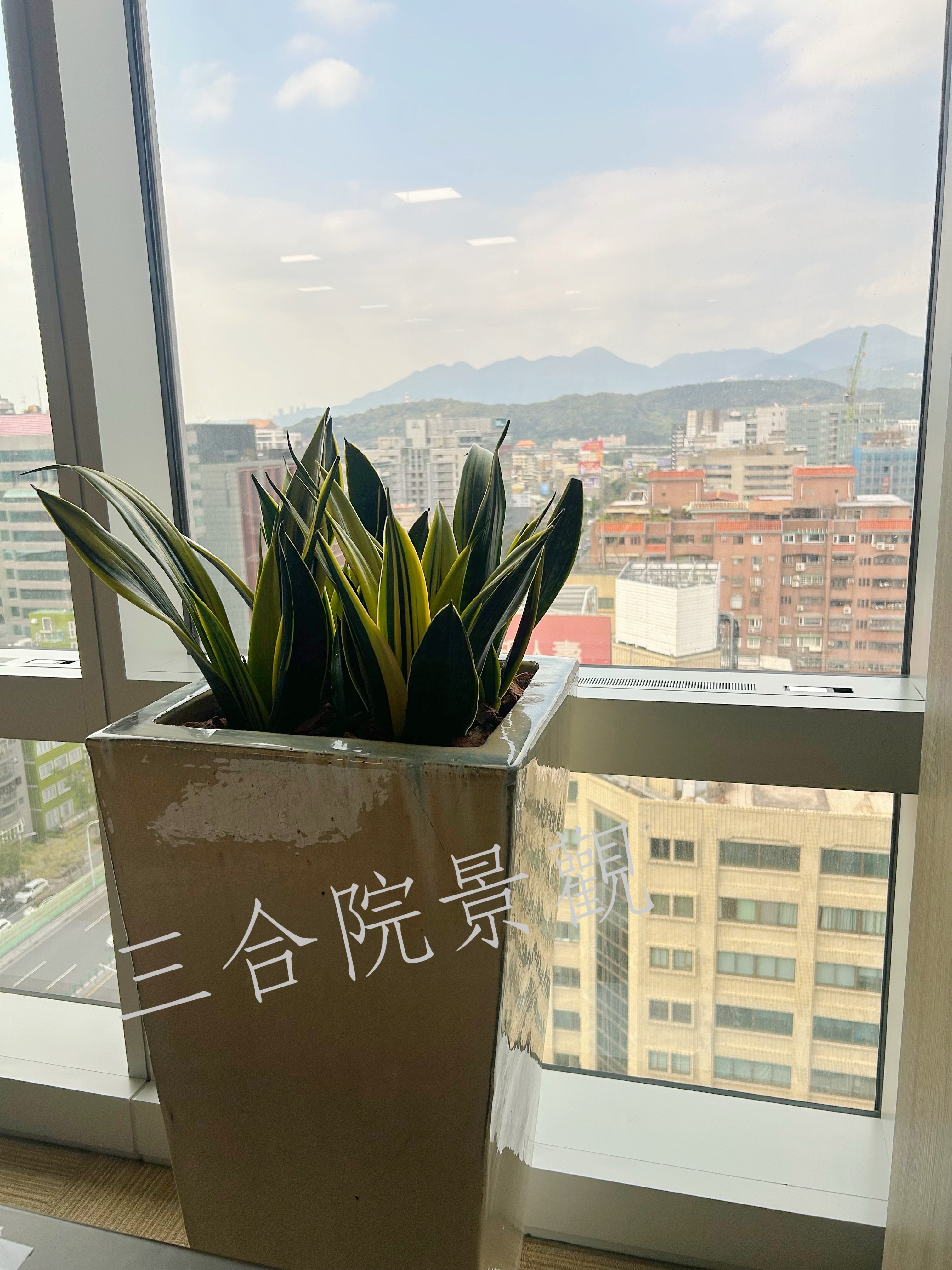2025年2月 日商O姆半導體 企業空間綠化 中山區
