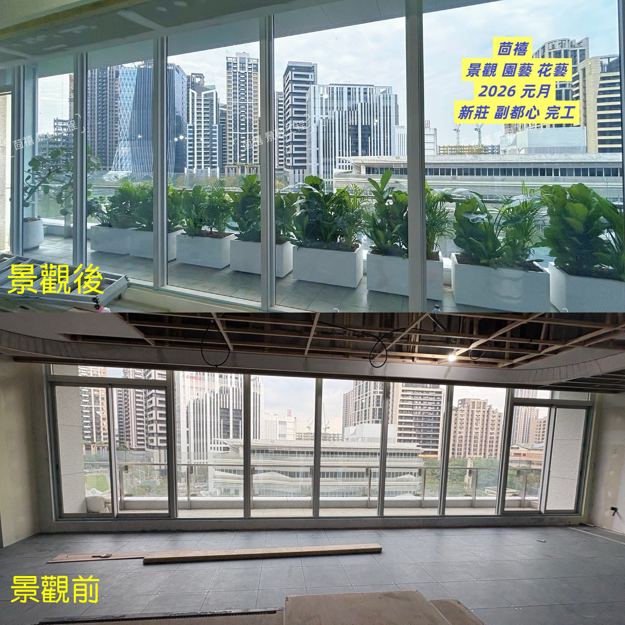 2026年 元月 辦公室綠化
