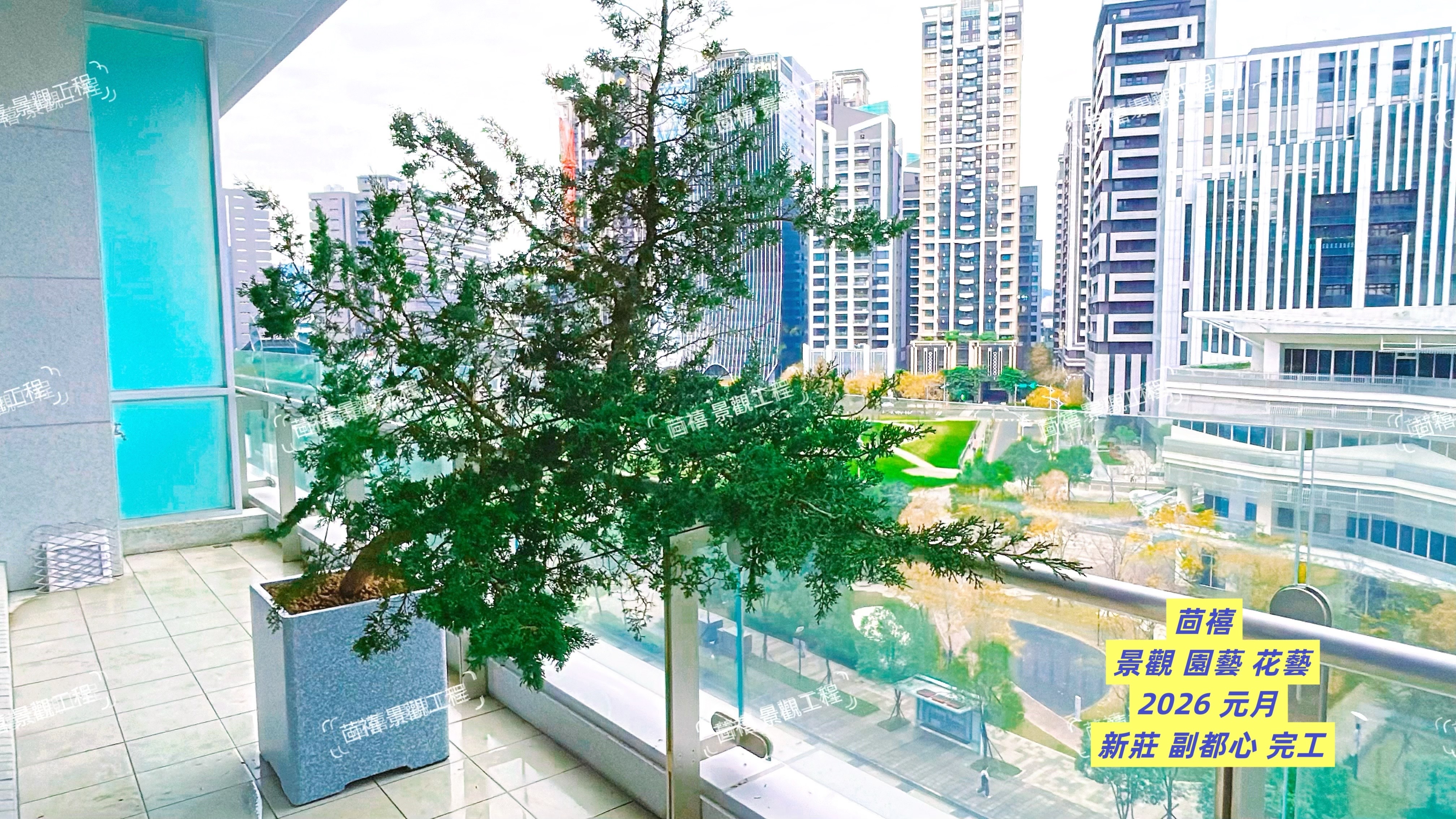 2026年元月 新莊區 企業形象綠化